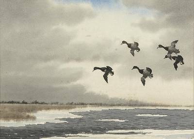Winter Bluebills by Joseph Day Knap - Auction record, sale price, and art valuation. Compare with similar artists and explore comparable artworks.