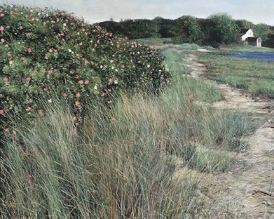 Bayside Roses by Thomas Higham - Auction record, sale price, and art valuation. Compare with similar artists and explore comparable artworks.