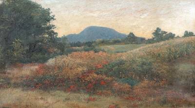 Fall Landscape