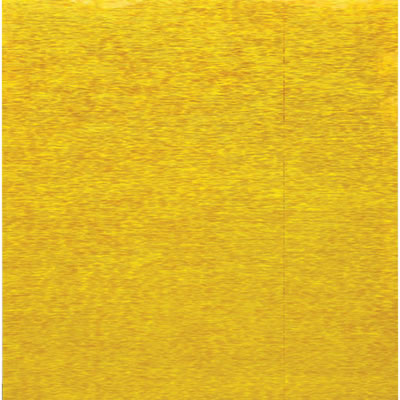 THE WORK WITH ACRYLIC RESIN SURFACE 2009.11.06