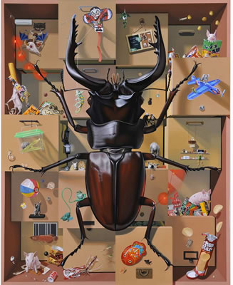 DRAWER OF STAG BEETLE