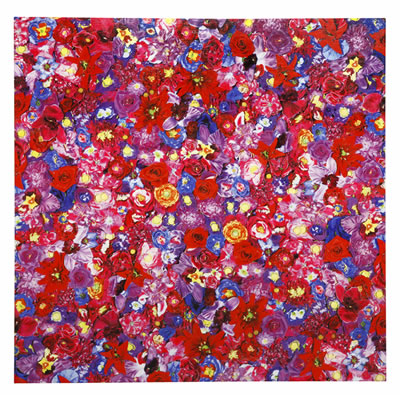 PROLIFERATION FLOWER PURPLE