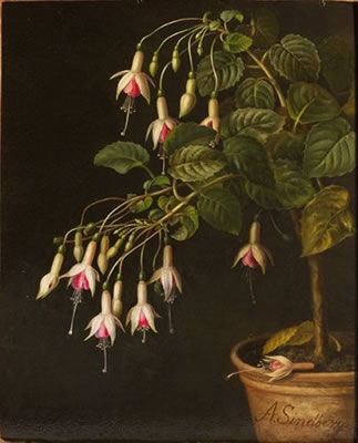 Fleurs dans un pot by Adamine Marie Elisabeth Sindberg - Auction record, sale price, and art valuation. Compare with similar artists and explore comparable artworks.