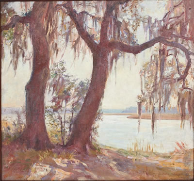 Oak Trees