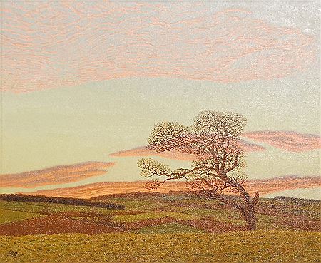 Red Sky, Co. Down