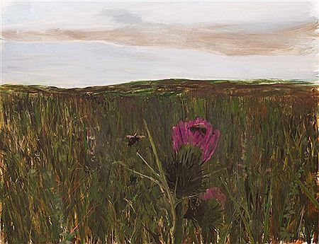 The Field with Thistle, 2011