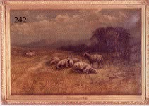 Sheep Resting in a Summer Landscape