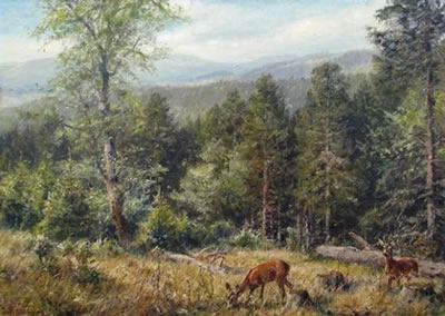 Weite Waldlandschaft mit äsendem Rotwild auf einer Lichtung