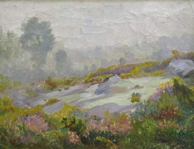 Weite sommerliche Wiesenlandschaft