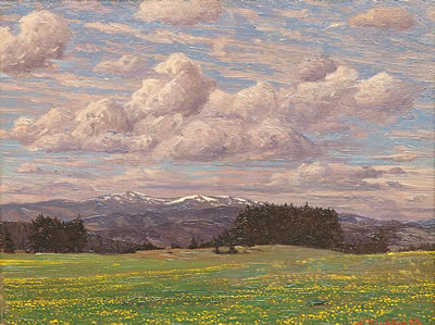 Spring in the high Black Forest