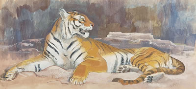Liegender Tiger