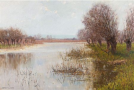 Spätsommerliche Partie am Altrhein mit sich im Wasser spiegelnden Bäumen