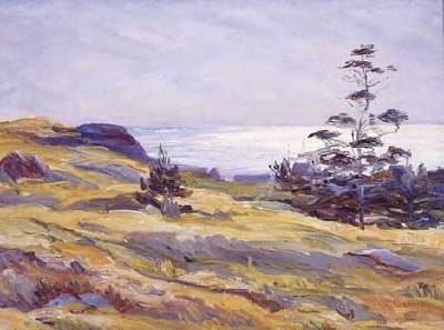 Maine Coastal View