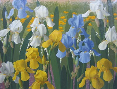 Iris and Wild Poppies