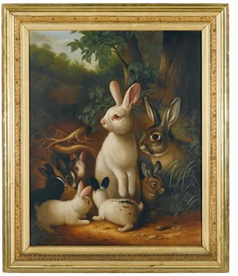 GROUP OF RABBITS