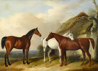 A BAY, A CHESTNUT AND A GREY BY A THATCHED COTTAGE