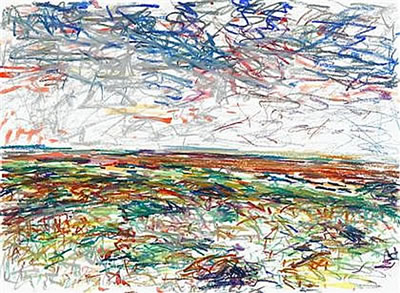 "OKRACOKE LANDSCAPE"