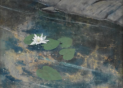 WATER LILY by John McCoy II - Auction record, sale price, and art valuation. Compare with similar artists and explore comparable artworks.