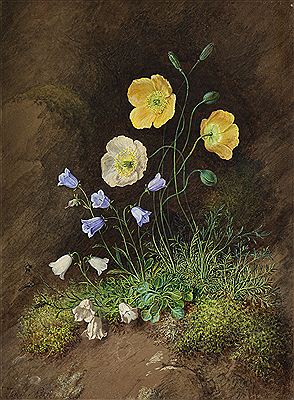 HILLSIDE FLOWERS (2)