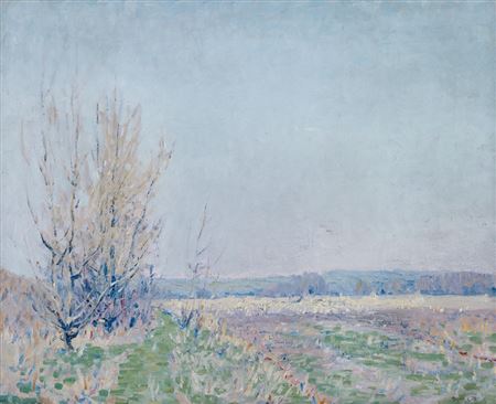 BUCKS COUNTY FIELD