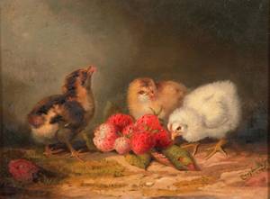 Three Chicks with Strawberries