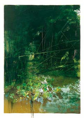 Da Azzurro Amazzonia