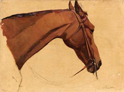 Testa di cavallo