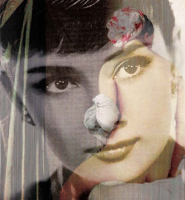Ingres - Audrey, 2006