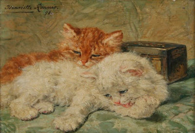 Resting Kittens
