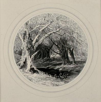WOODLAND WITH STREAM