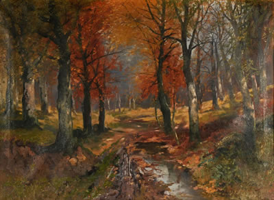 Autumn Woods
