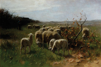 A shepherd with a flock of sheep