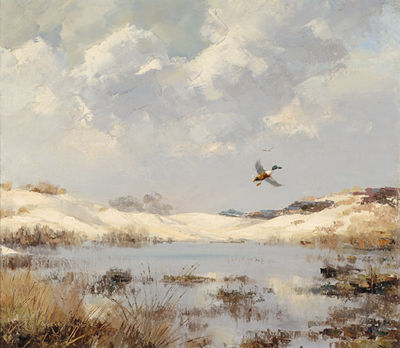 View of a lake