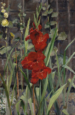 Gladioli