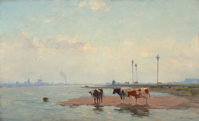 Koeien aan het water