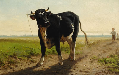 The bull