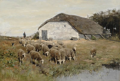 Shepherd with flock of sheep