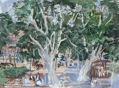 Plane-trees around the square