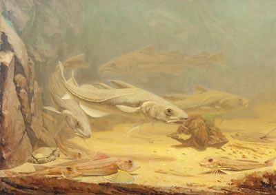 Sea life by Gerrit Willem Dijsselhof - Auction record, sale price, and art valuation. Compare with similar artists and explore comparable artworks.
