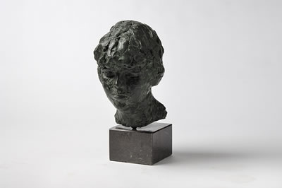 Olga by Jan Wolkers - Auction record, sale price, and art valuation. Compare with similar artists and explore comparable artworks.