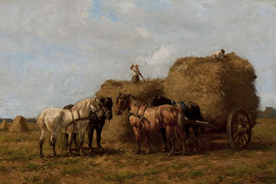 The loading of the hay