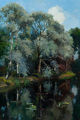 Water lilies in a forest glen