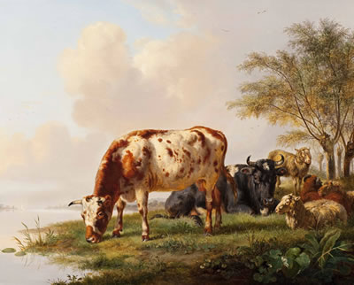 Cows and sheep along the water's edge