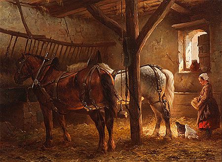 The feeding of the chickens in the stable
