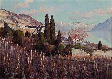 Vue sur le Lavaux à la fin de l'automne
