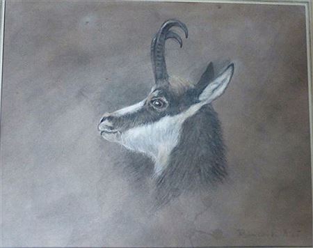 Tête de chamois by Francois Poret - Auction record, sale price, and art valuation. Compare with similar artists and explore comparable artworks.