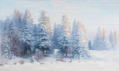 Soleil levant par la neige à la lisière de la forêt de sapins