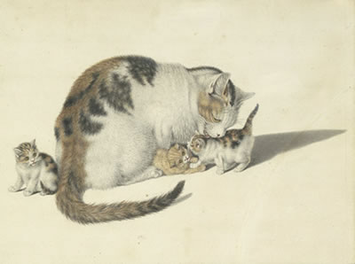 Katzenmutter mit drei Jungen by Gottfried Mind - Auction record, sale price, and art valuation. Compare with similar artists and explore comparable artworks.