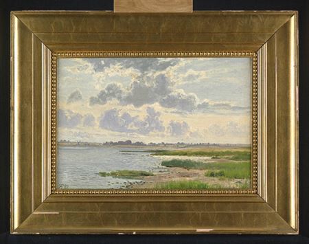Sommerliche Landschaft bei Isefjorden auf der dänischen Insel Eskildsø.