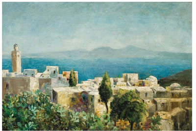 Vue de Sidi Bou-Saïd